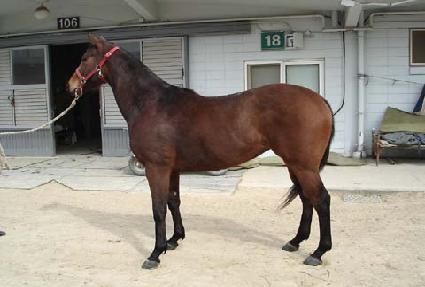 �������� ����