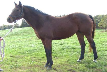 �ݵ彺���� ����