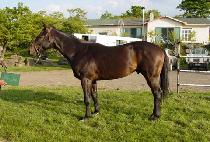 ������ (MUGABO) ����