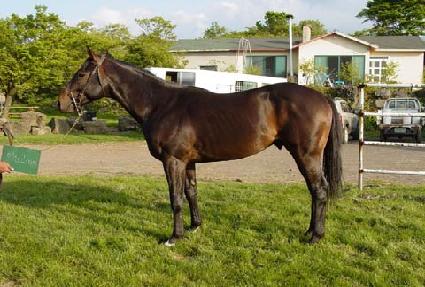 ������ ����