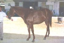 �������� (SEONGSEOREOUN) ����