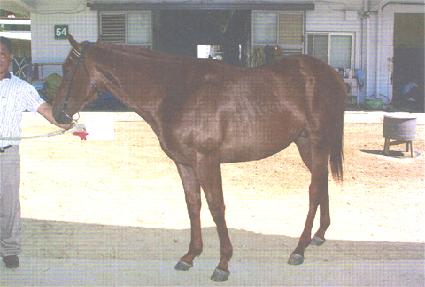 �������� ����