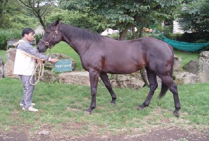 �������� ����