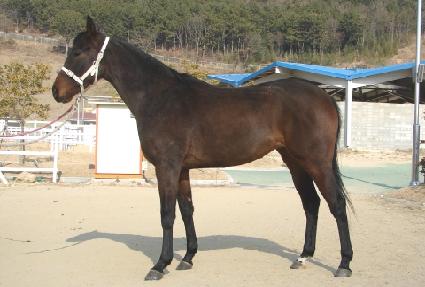 ī���;��� ����