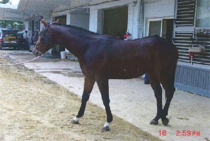 �����Դ� ����