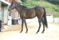 ��������ȭ (DAEJIUIPYEONGHWA) ����