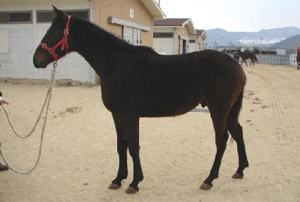 õ���Ϻ� ����