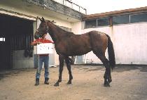 ���ֻ� (UNJUSA) ����