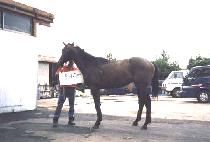 ū���� (KEUNJEONGNIM) ����