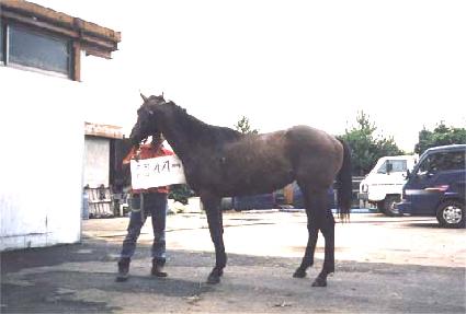 ū���� ����