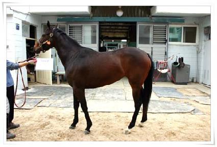 ������ ����