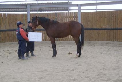 Ÿ�̰Ż�ũ ����