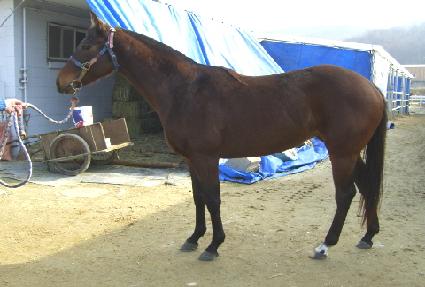 �ξ����� ����