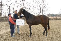 ��õȭ�� (JUCHEON HWAHU) ����