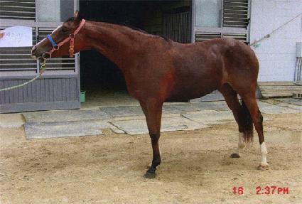 �����ĵ� ����