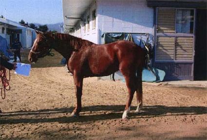 ���ع�½ ����