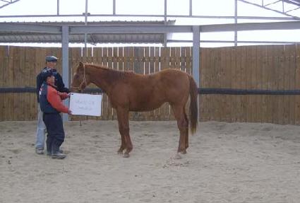 �ƹ߷� ����