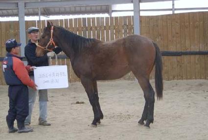 �̼���õ ����