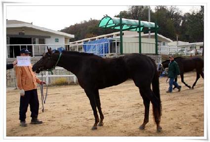 ���̻��� ����