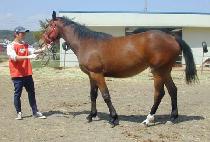 �ݺ����� (GEUMBIT PO ONG) ����