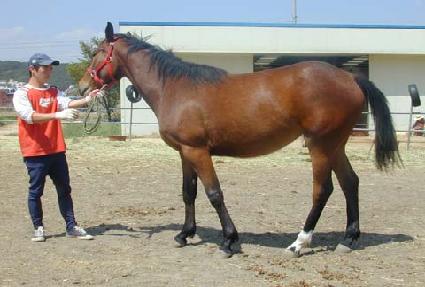 �ݺ����� ����