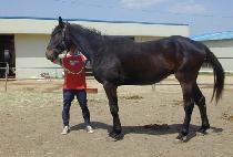 �Ҿ��������Ʈ�ڸ� ����