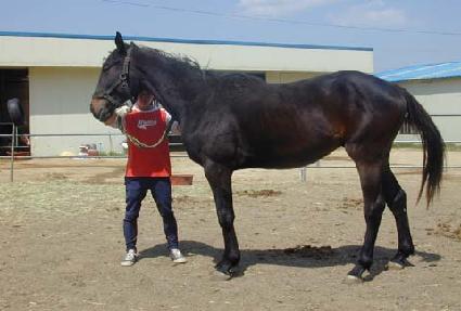 �Ҿ��������Ʈ�ڸ� ����