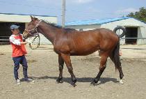 ����ī�������ڸ� ����