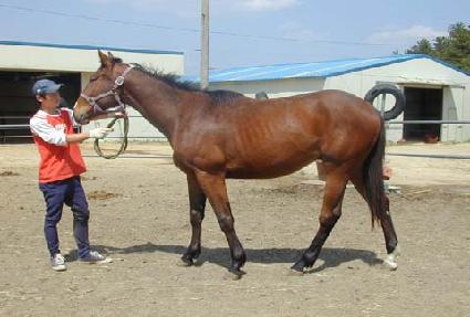 ����ī�������ڸ� ����