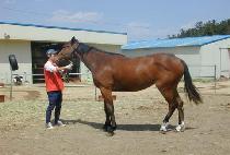 ���̵��� (LADY DAY) ����