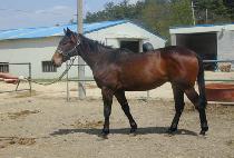 ������ (GWANGSOKPA) ����