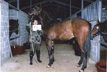 �������� (YEONGSHIL JEONGGI) ����