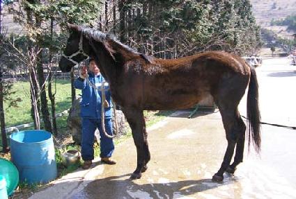 ������Ƴ� ����