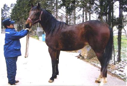 �����ְ� ����