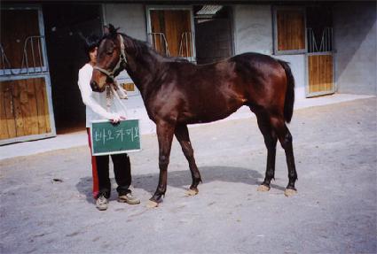 �ַο����̽� ����