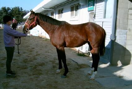 ���� ����