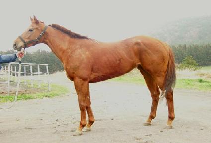 �������޻� ����