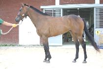 ���̺�Ʈ (BIG EVENT) ����