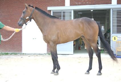 ���̺�Ʈ ����