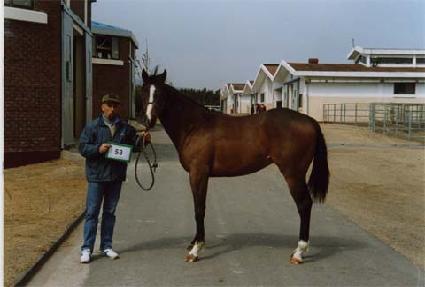 �����̷����� ����