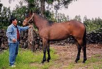 ���̿� (HIGH ONE) ����