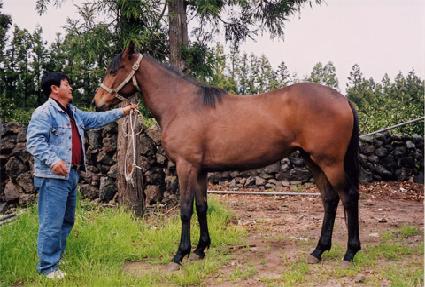 ���̿� ����