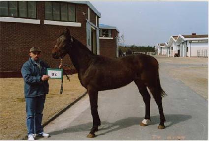 ��ǳȣ�� ����