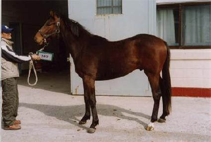 �ŷ�Ʈ ����