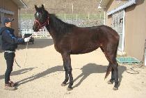 ������ (HUIMANGMOA) ����