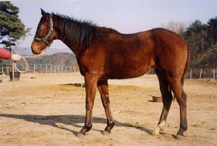 ����Ʈ�� ����