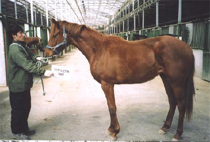 Ÿ�̰��� ����