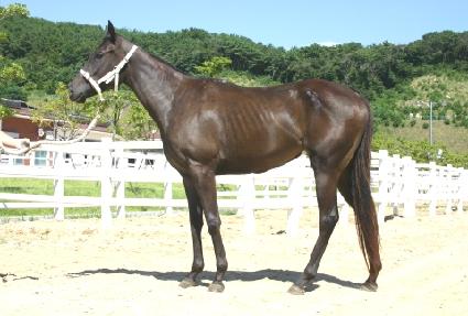 ������ ����