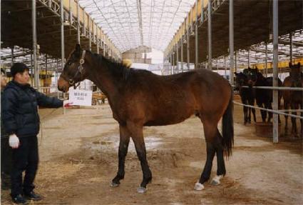 �۸� ����