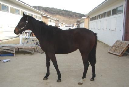 ���� ����